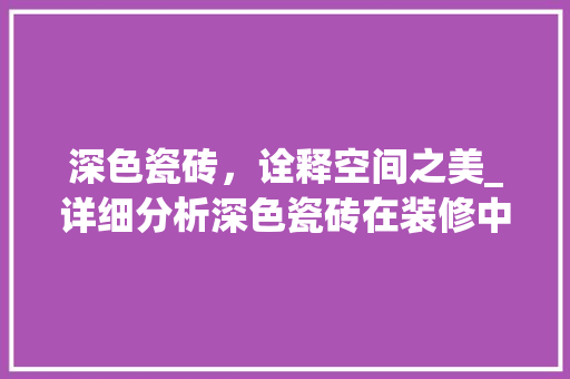深色瓷砖，诠释空间之美_详细分析深色瓷砖在装修中的应用与优势 现代风格装饰