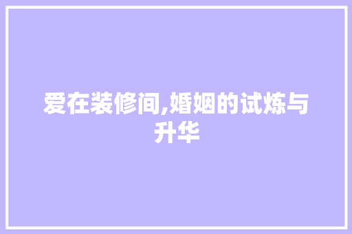 爱在装修间,婚姻的试炼与升华 家居装修
