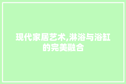 现代家居艺术,淋浴与浴缸的完美融合