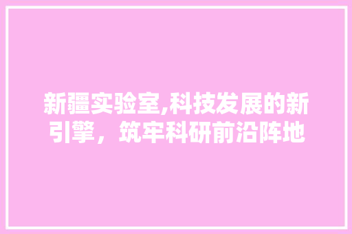 新疆实验室,科技发展的新引擎，筑牢科研前沿阵地 软装设计