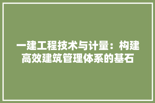 一建工程技术与计量：构建高效建筑管理体系的基石