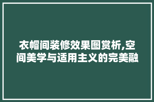 衣帽间装修效果图赏析,空间美学与适用主义的完美融合 客厅装修