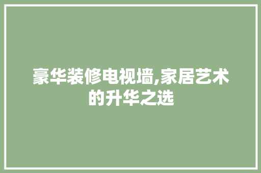 豪华装修电视墙,家居艺术的升华之选