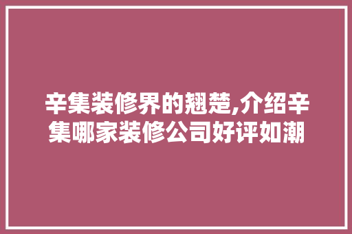 辛集装修界的翘楚,介绍辛集哪家装修公司好评如潮 现代风格装饰