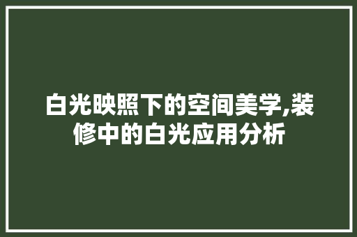 白光映照下的空间美学,装修中的白光应用分析