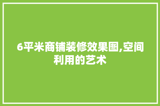 6平米商铺装修效果图,空间利用的艺术