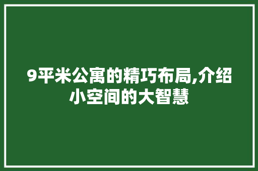 9平米公寓的精巧布局,介绍小空间的大智慧 现代风格装饰