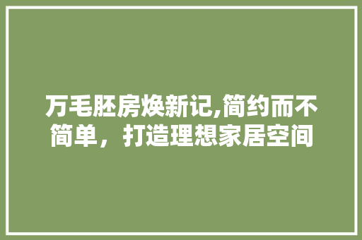 万毛胚房焕新记,简约而不简单，打造理想家居空间 室内设计