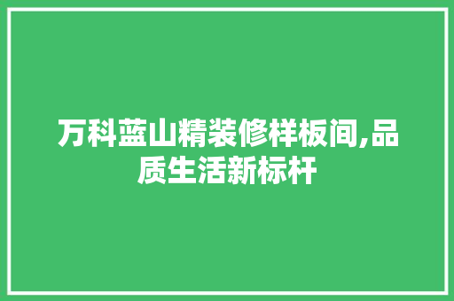 万科蓝山精装修样板间,品质生活新标杆