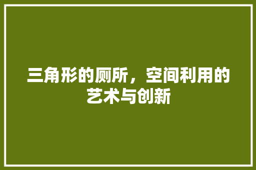 三角形的厕所，空间利用的艺术与创新 软装设计