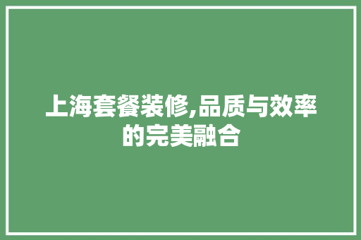 上海套餐装修,品质与效率的完美融合 中式风格装饰