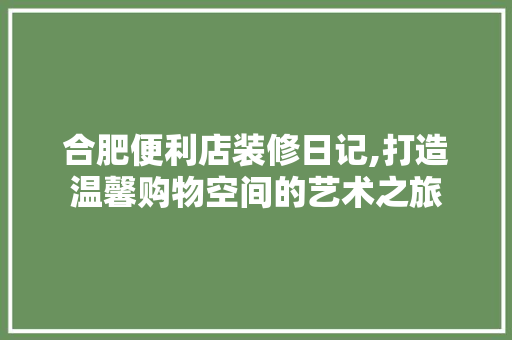 合肥便利店装修日记,打造温馨购物空间的艺术之旅 软装设计