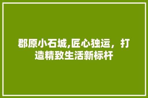 郡原小石城,匠心独运，打造精致生活新标杆 客厅装修
