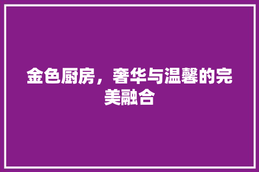 金色厨房，奢华与温馨的完美融合