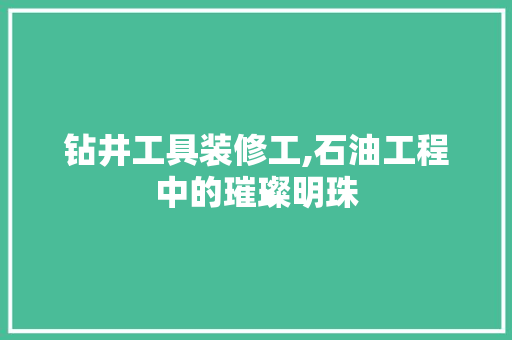 钻井工具装修工,石油工程中的璀璨明珠