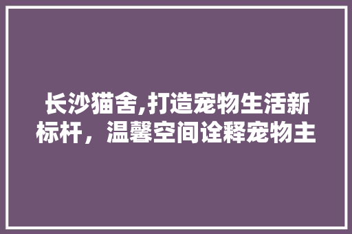 长沙猫舍,打造宠物生活新标杆，温馨空间诠释宠物主人情感共鸣