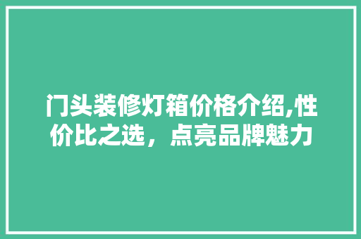 门头装修灯箱价格介绍,性价比之选，点亮品牌魅力