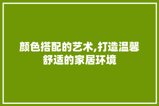 颜色搭配的艺术,打造温馨舒适的家居环境 现代风格装饰