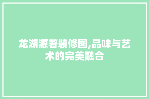 龙湖源著装修图,品味与艺术的完美融合 家居装修