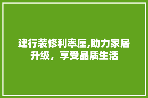 建行装修利率厘,助力家居升级，享受品质生活
