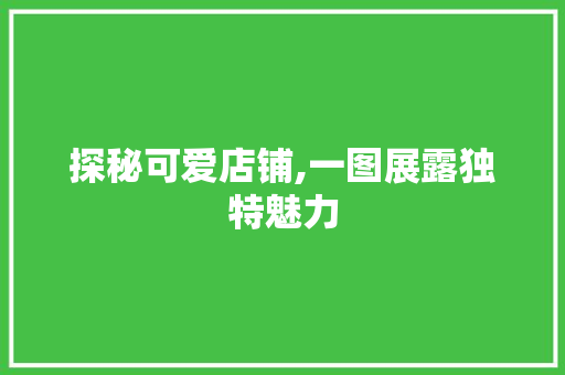 探秘可爱店铺,一图展露独特魅力 软装设计