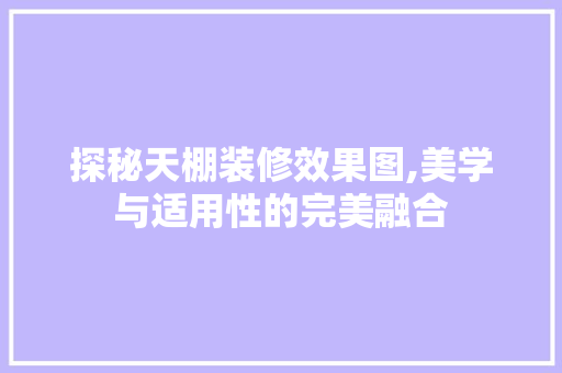探秘天棚装修效果图,美学与适用性的完美融合