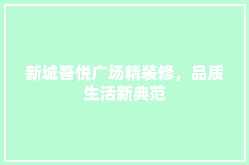 新城吾悦广场精装修，品质生活新典范