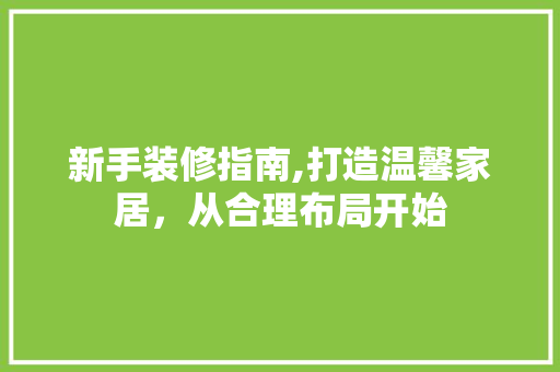 新手装修指南,打造温馨家居，从合理布局开始