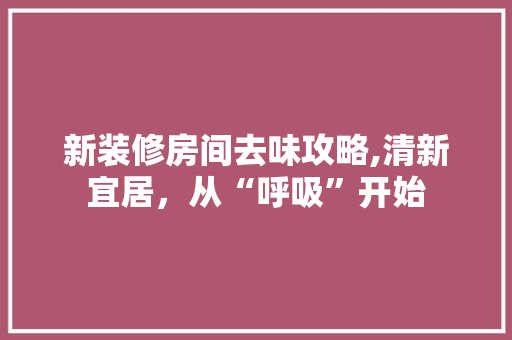 新装修房间去味攻略,清新宜居，从“呼吸”开始