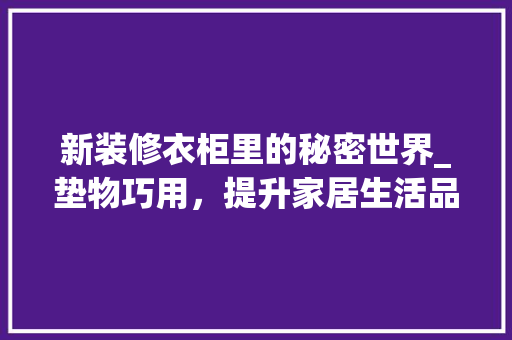 新装修衣柜里的秘密世界_垫物巧用，提升家居生活品质