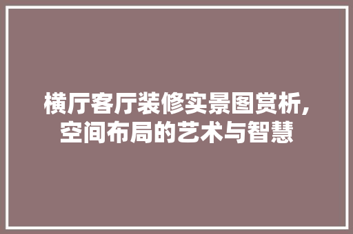 横厅客厅装修实景图赏析,空间布局的艺术与智慧 室内设计