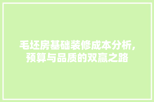 毛坯房基础装修成本分析,预算与品质的双赢之路