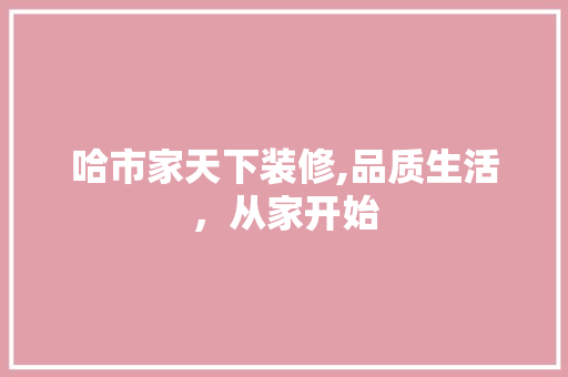 哈市家天下装修,品质生活，从家开始 客厅装修