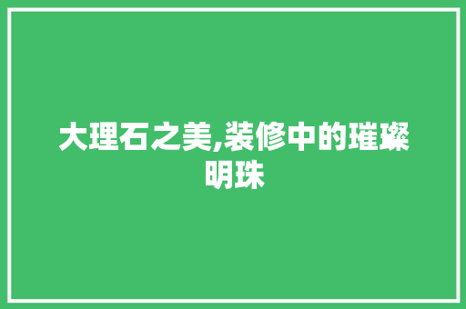 大理石之美,装修中的璀璨明珠 客厅装修