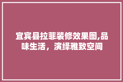 宜宾县拉菲装修效果图,品味生活，演绎雅致空间