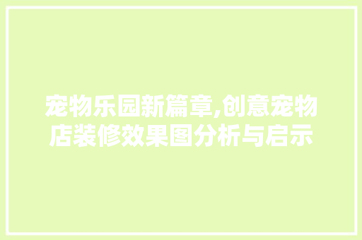 宠物乐园新篇章,创意宠物店装修效果图分析与启示