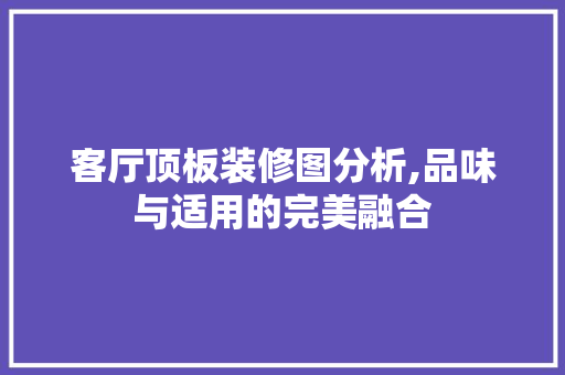 客厅顶板装修图分析,品味与适用的完美融合