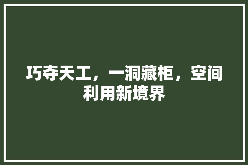 巧夺天工，一洞藏柜，空间利用新境界