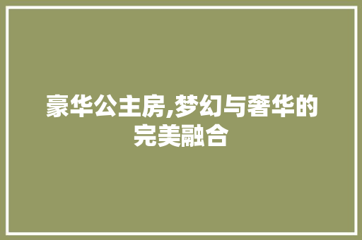 豪华公主房,梦幻与奢华的完美融合