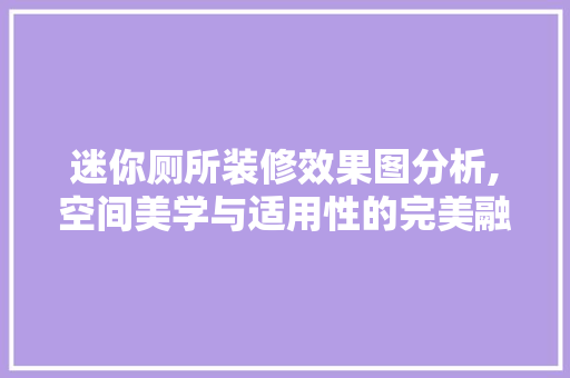 迷你厕所装修效果图分析,空间美学与适用性的完美融合