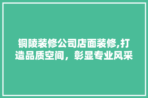 铜陵装修公司店面装修,打造品质空间，彰显专业风采 中式风格装饰