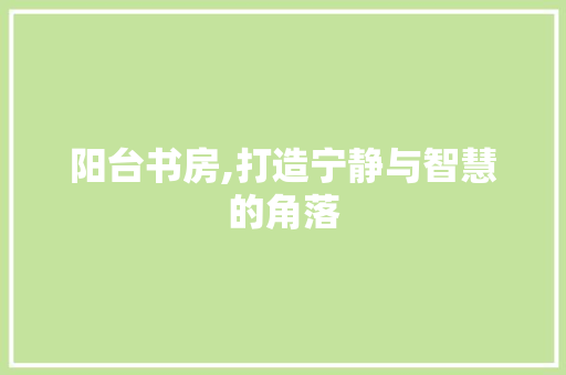 阳台书房,打造宁静与智慧的角落 现代风格装饰