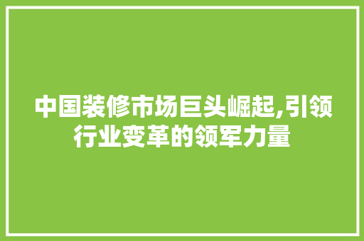 中国装修市场巨头崛起,引领行业变革的领军力量 现代风格装饰