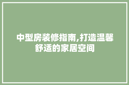 中型房装修指南,打造温馨舒适的家居空间 软装设计