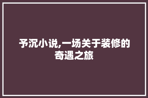 予沉小说,一场关于装修的奇遇之旅