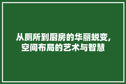 从厕所到厨房的华丽蜕变,空间布局的艺术与智慧 地板材料
