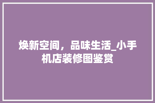 焕新空间，品味生活_小手机店装修图鉴赏
