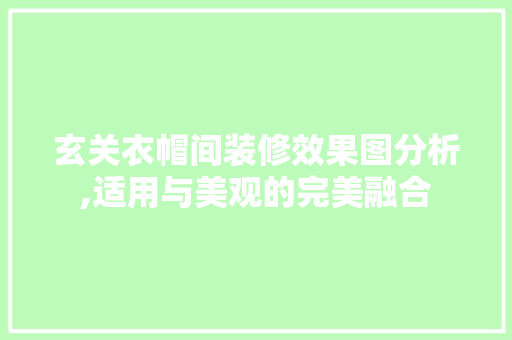 玄关衣帽间装修效果图分析,适用与美观的完美融合 家居装修