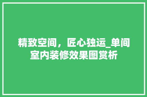 精致空间，匠心独运_单间室内装修效果图赏析