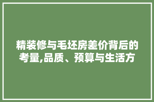 精装修与毛坯房差价背后的考量,品质、预算与生活方法